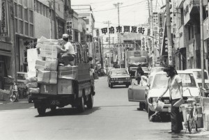 43.3県長期開発計画